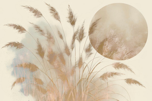 Dreamy Pampas Grass Japandi