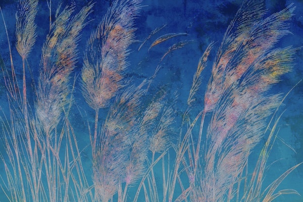 Dreamy Pampas Grass Elegance