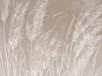 Dreamy Pampas Grass Luxury carta da parati