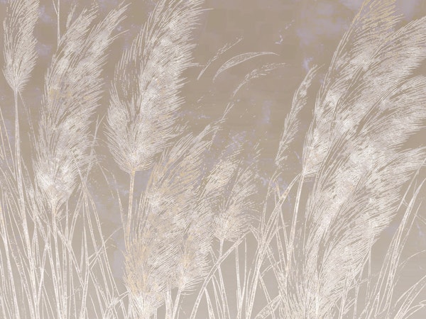 Dreamy Pampas Grass Luxury