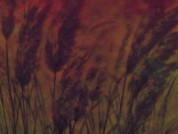 Dreamy Pampas Grass Autumn carta da parati