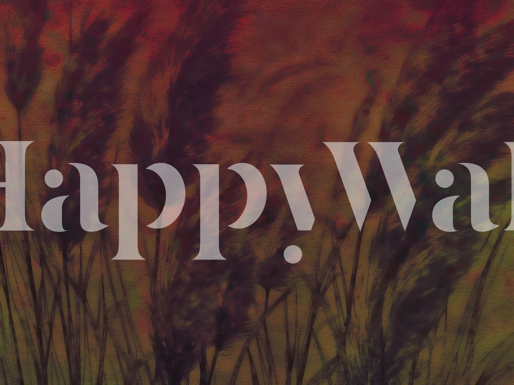 Pampas grass silhouette on a warm autumn background wallpaper