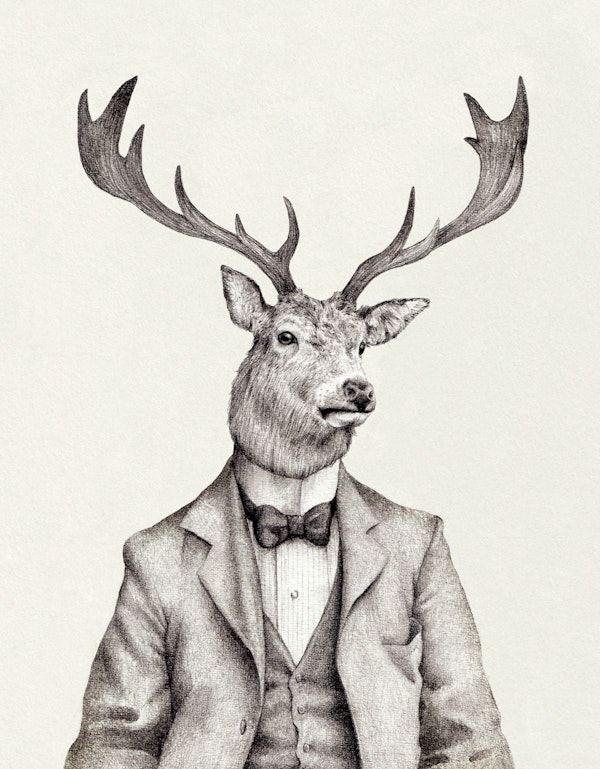 Mr. Buck