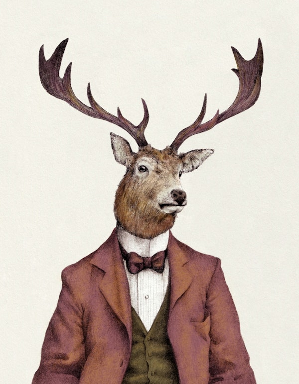 Mr. Buck II