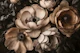 Mocha Mousse Moody Flower Ensemble