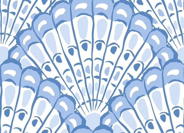 Scallop seashells - blue