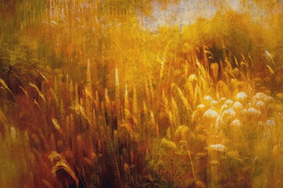 Mural