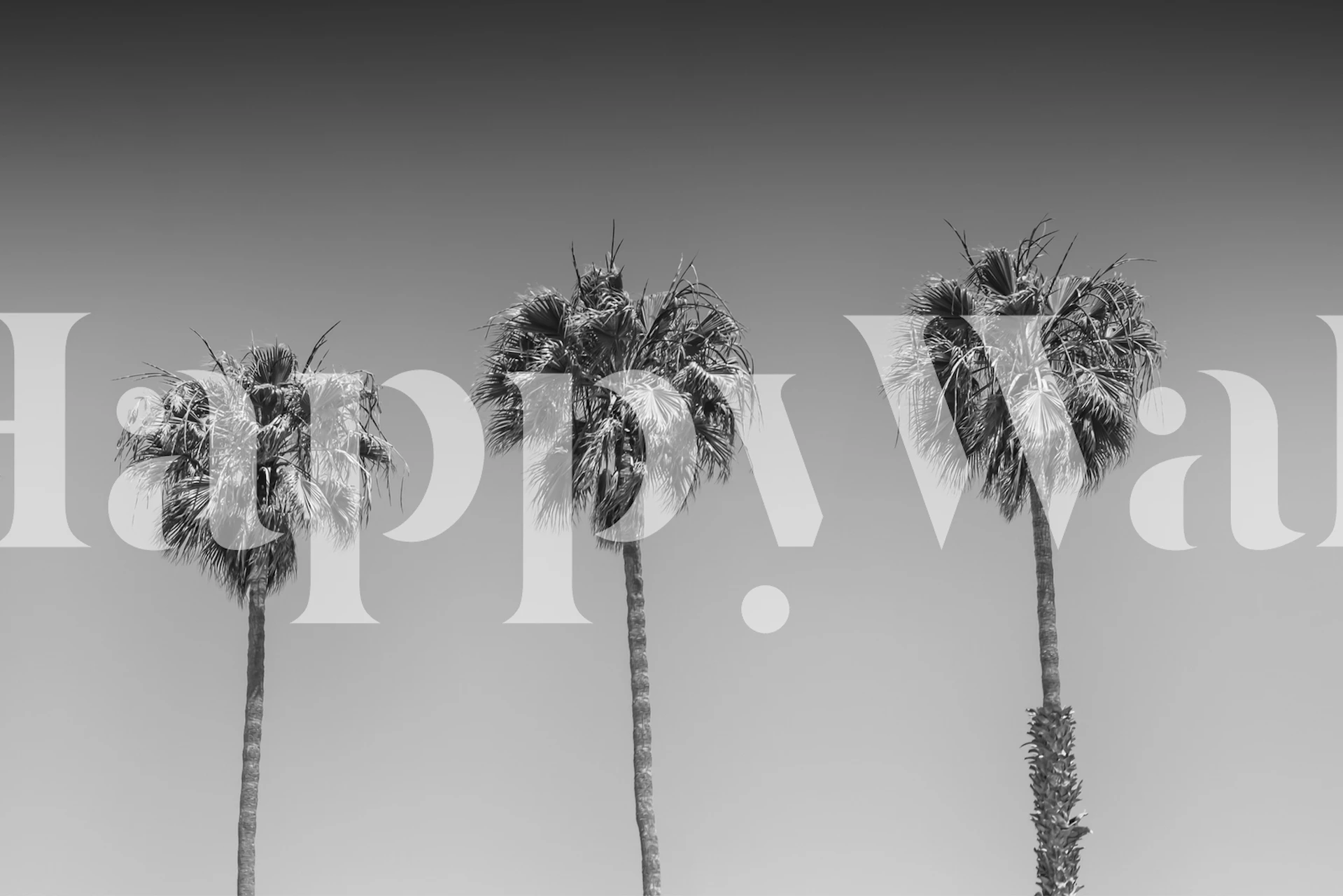 Monochrome palm trees mural in black and white wallpaper