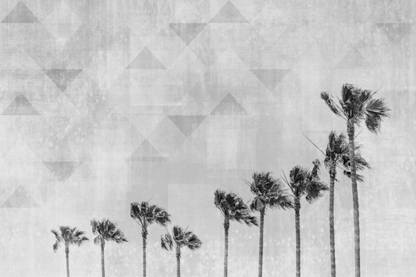 California monochrome art
