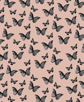 Terracotta Butterfly 1 wallpaper