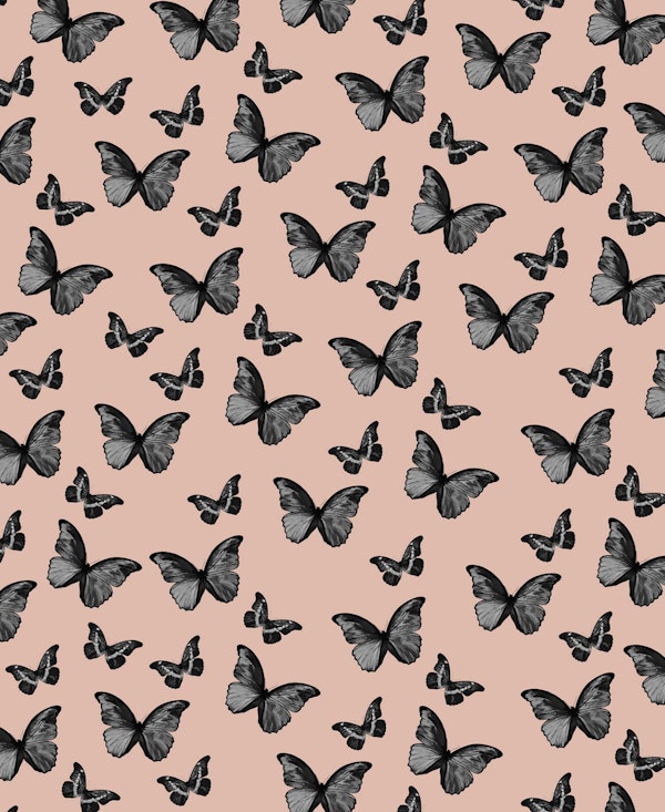 Terracotta Butterfly 1