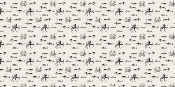 Nautical Ocean Adventure