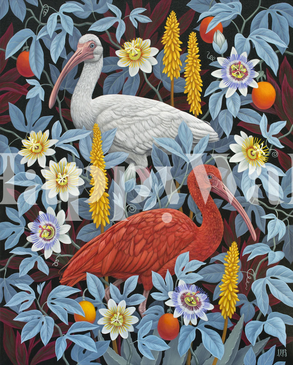 Ibises wallpaper design featuring vibrant colors