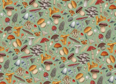 Τοιχογραφία