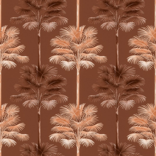 Peachy FanPalm