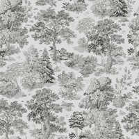 Dark Forest Dream carta da parati