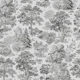 Dark Forest Dream