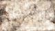 Antique Surface Luxury