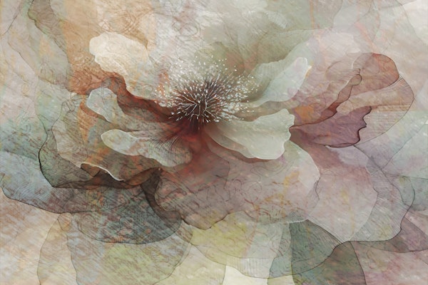 Ethereal Blossom Art