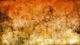 Copper Luxury Fusion