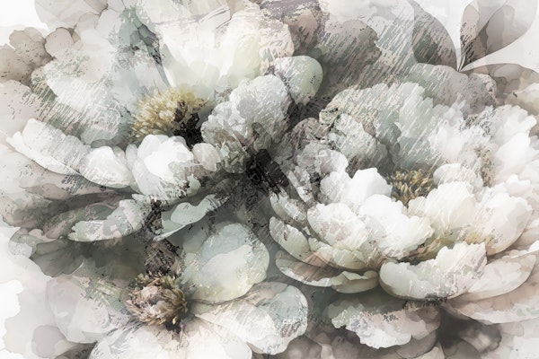 Monochrome Bloom Art