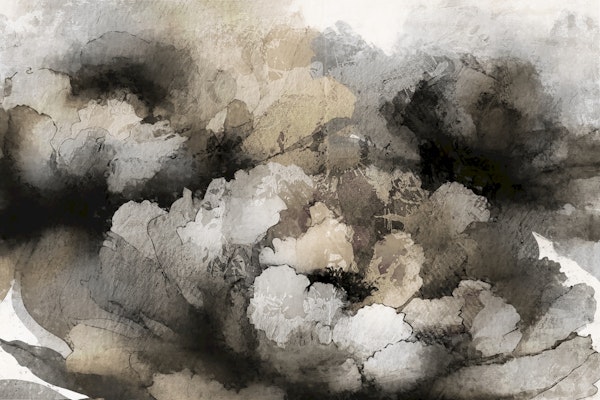 Ethereal Monochrome Blooms