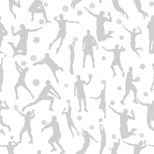 Volleyball players - grey