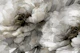 Monochrome Flora Fantasy