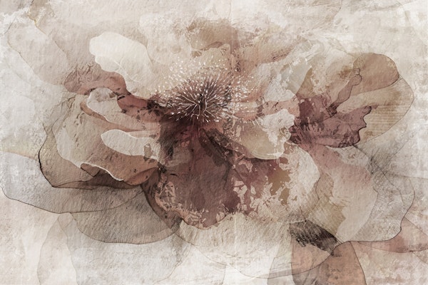 Antique Rose Artistry