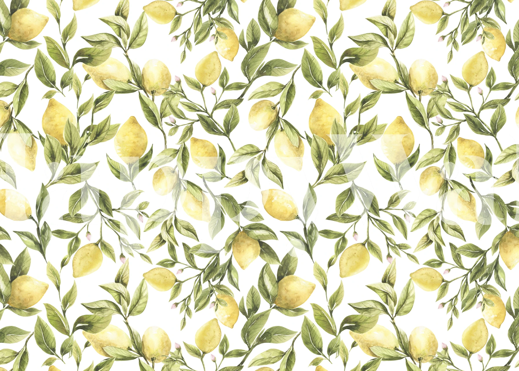 Lemon and green leaves pattern on white background wallpaper