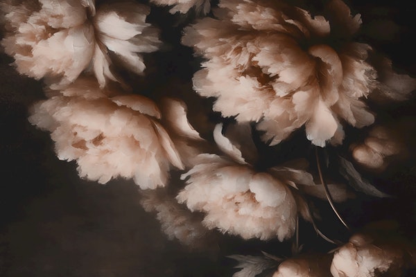 Mocha Mousse Blossoms