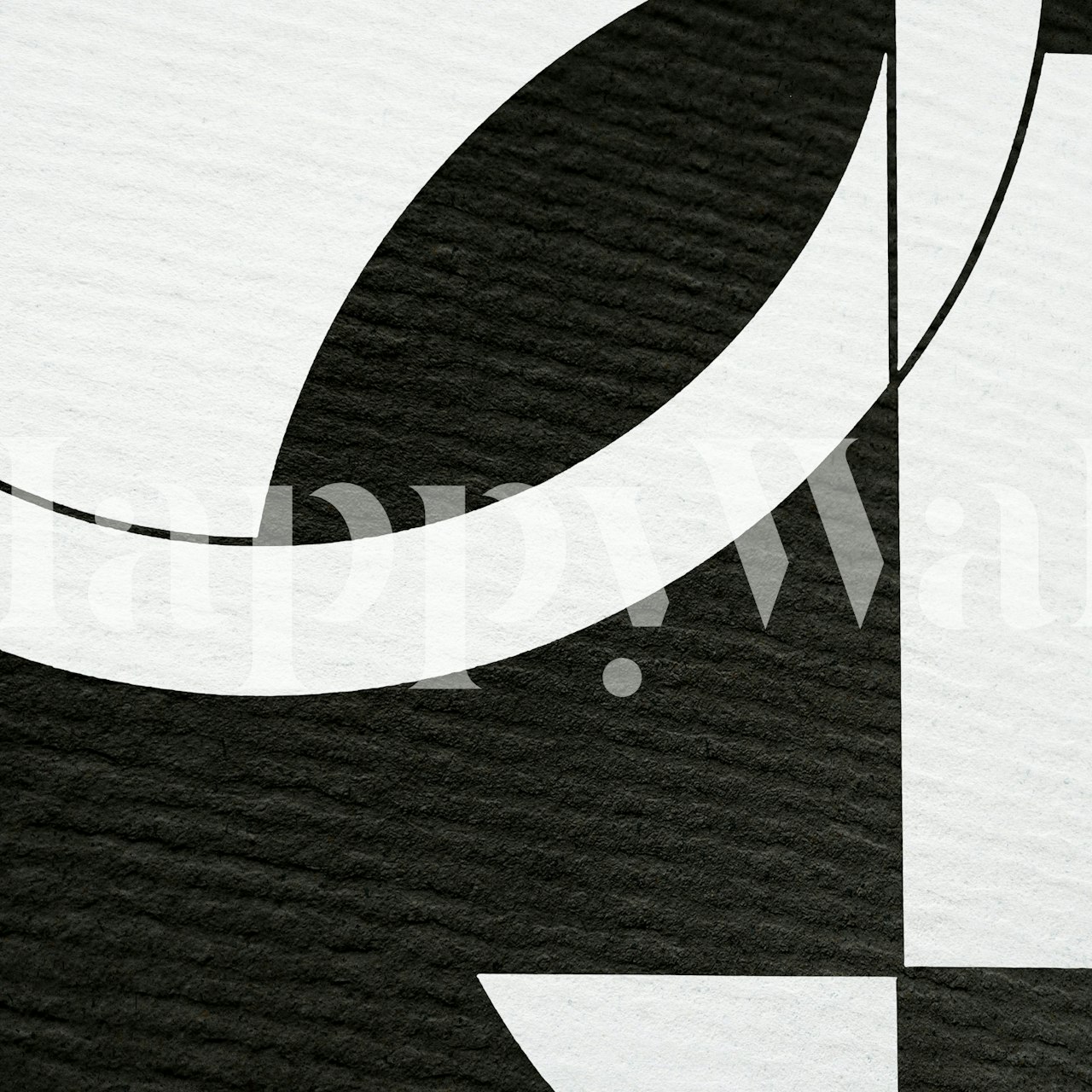 Geometric patterns in black and white wallpaper