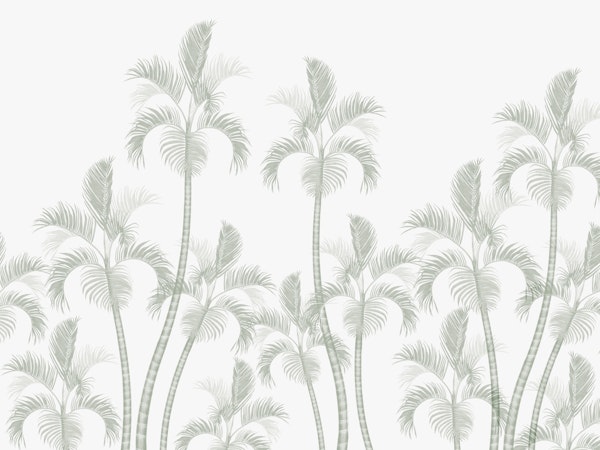 GoldenCanePalm - Green