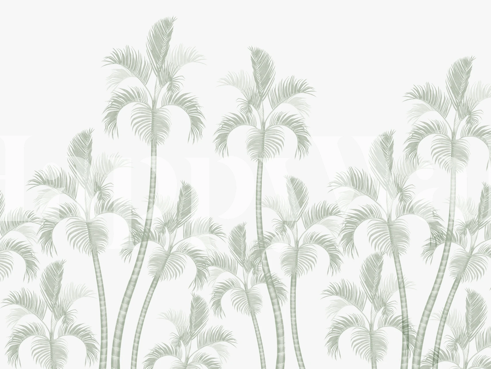 GoldenCanePalm green wallpaper in a room