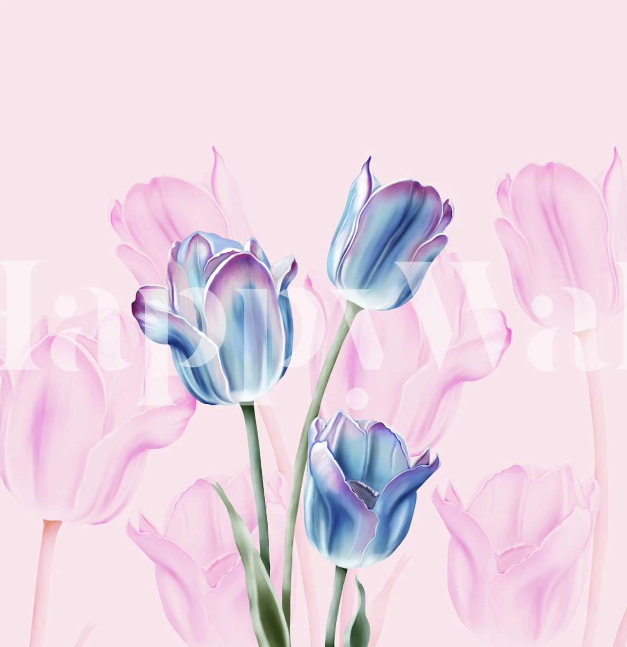 Pink tulip flowers with blue accents on light background wallpaper