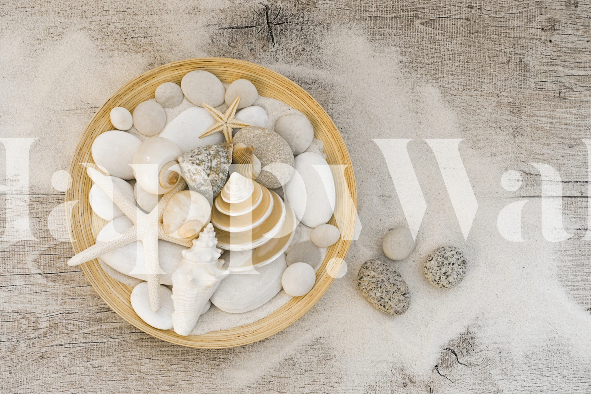 Maritime still life wallpaper in a room setting