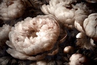 Baroque Flower Elegance tapete