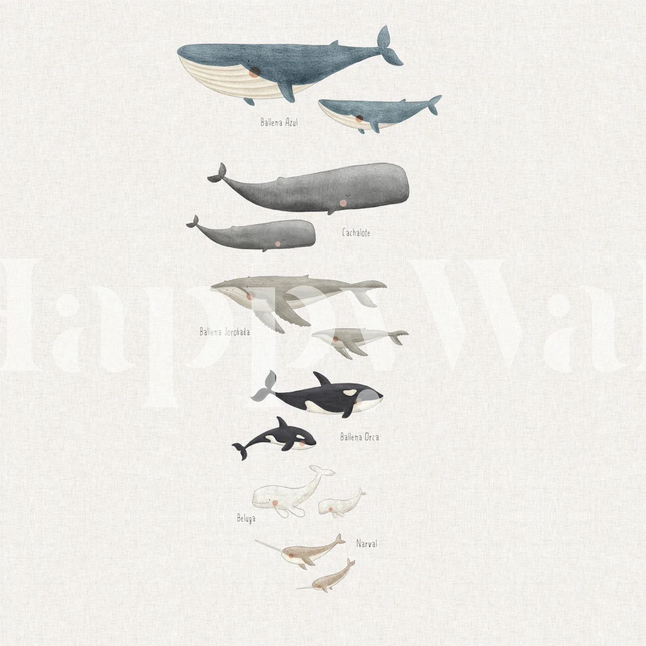 Whale illustrations in various colors and sizes on light wallpaper