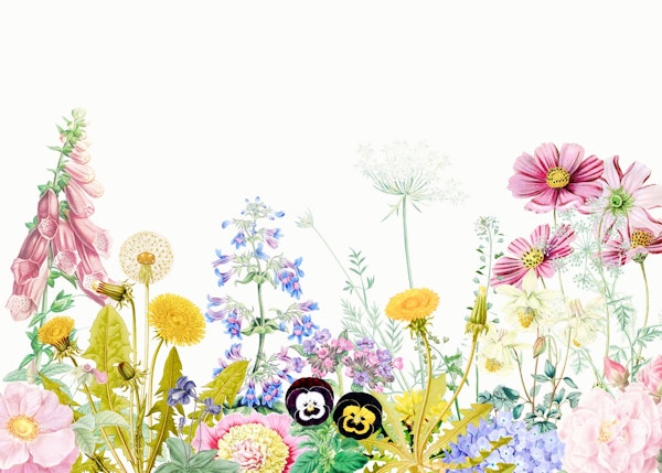 Growing Spring Flowers Meadow