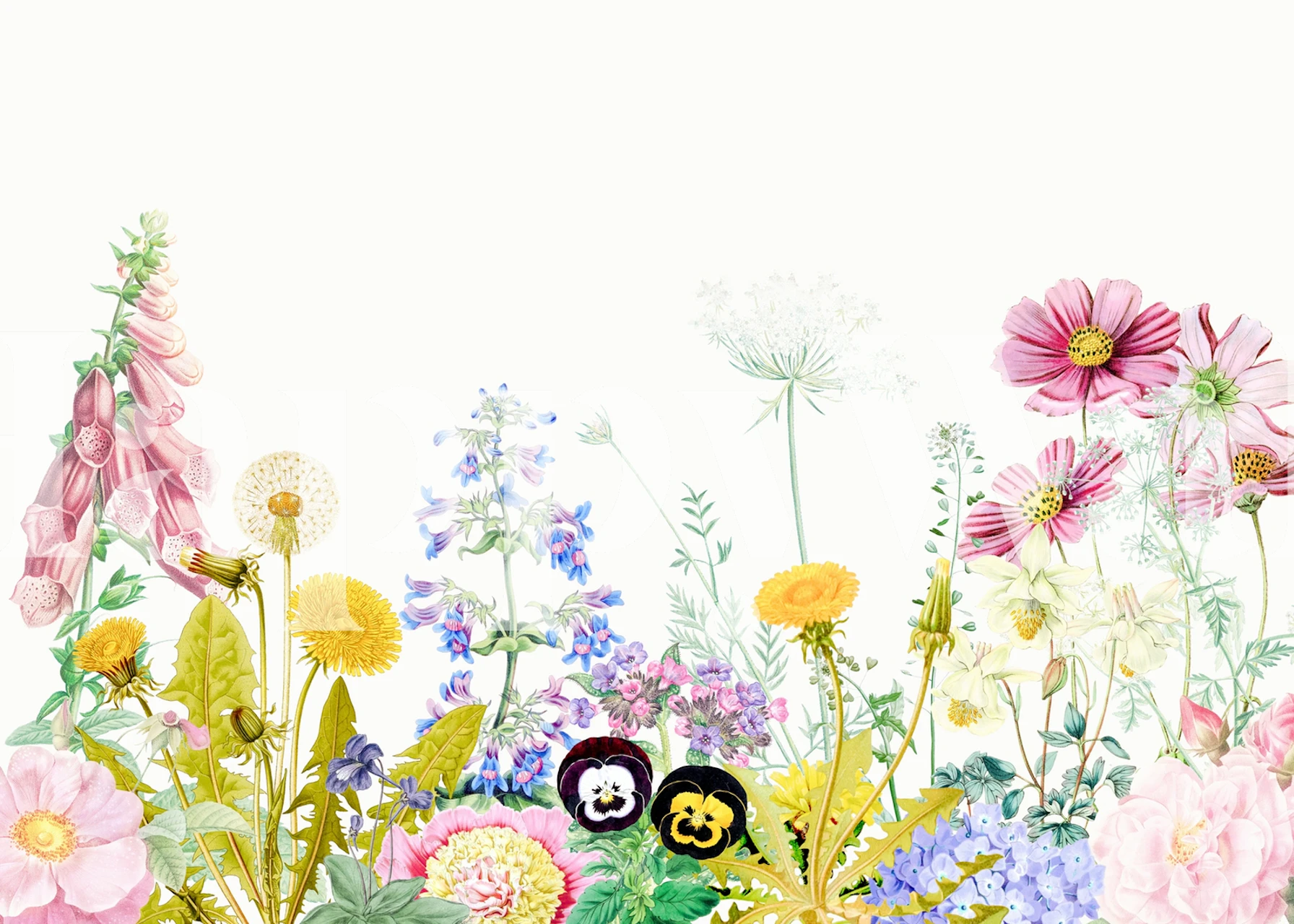 A colorful wall mural of a spring flowers meadow with various blossoms