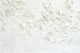 Leaf Impressions Tuberose White