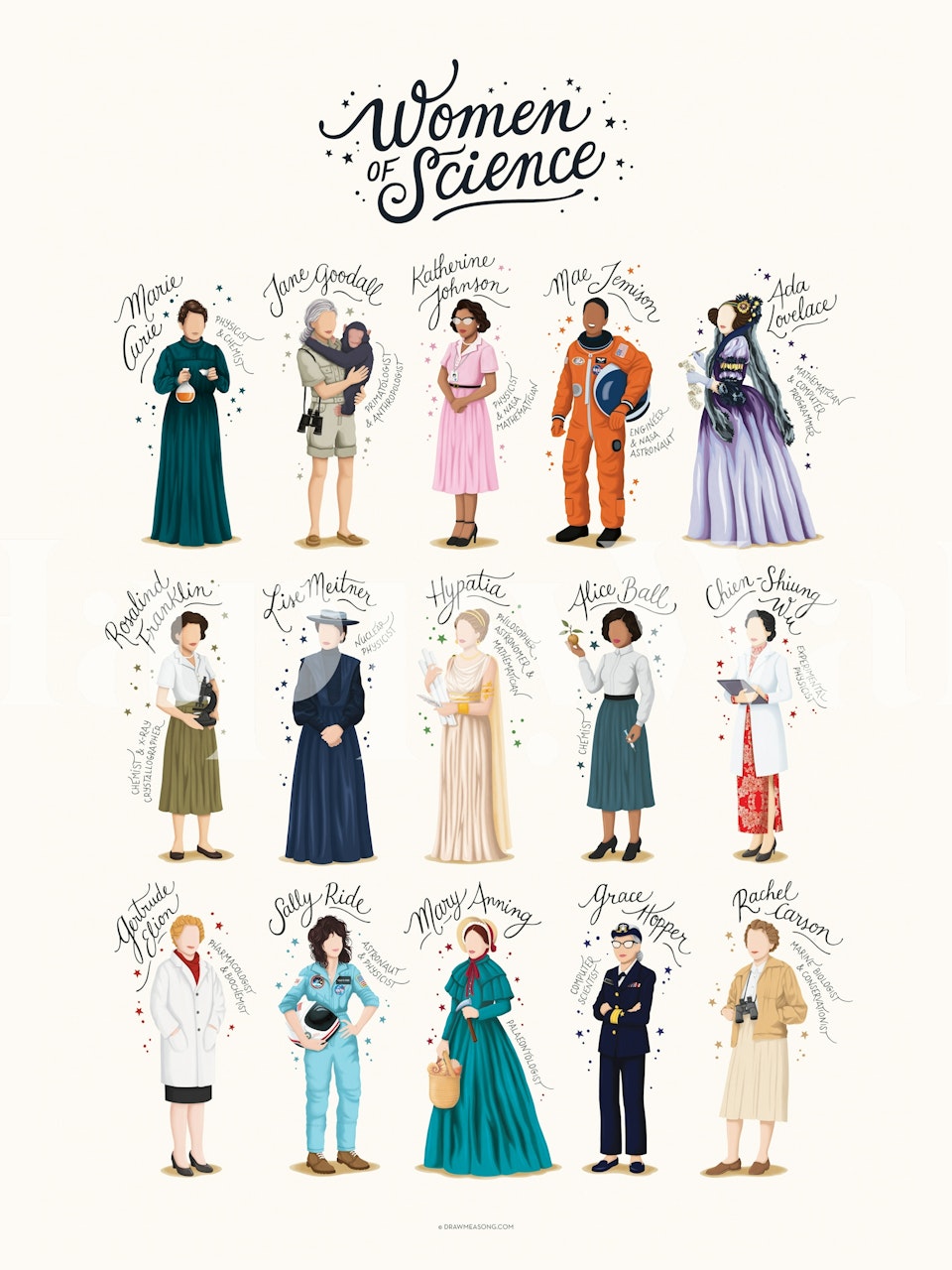 Women of Science wallpaper in a room