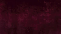 Velvet Red Essence wallpaper