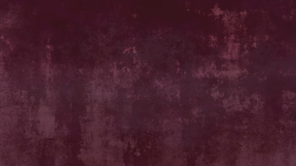 Rose Velvet Dream