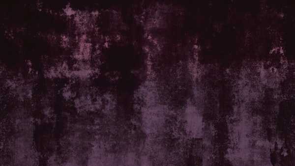 Rose Velvet Dream