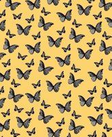 Black Yellow Butterfly Glam 1 wallpaper