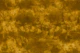Golden Brushed Canvas