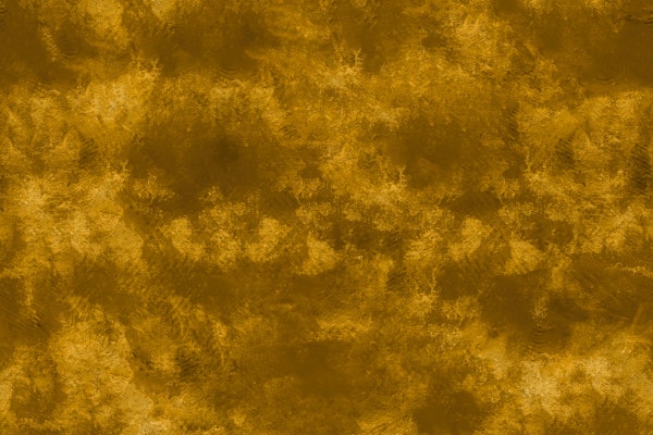 Golden Brushed Canvas