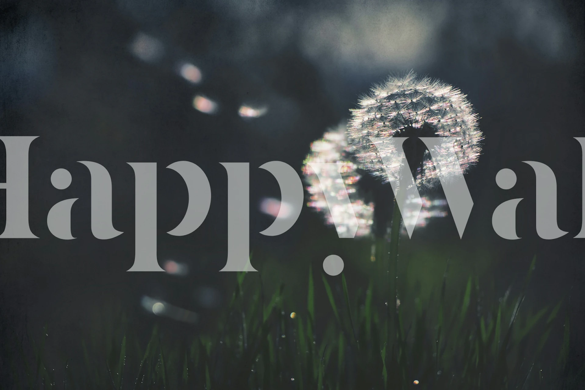 Tapeta Flowers Dandelion Dreams u sobi