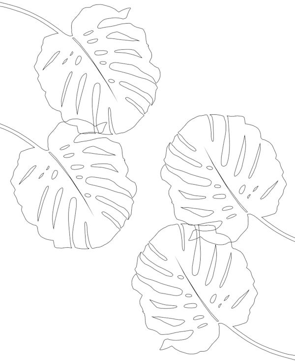 Monstera Finesse Line Art 2